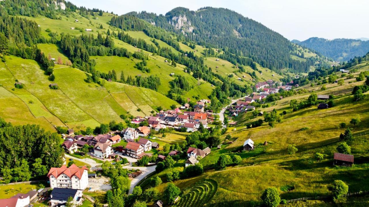 Pensiunea Malina Moeciu De Sus Exterior photo