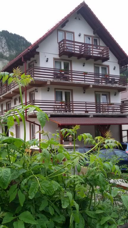 Pensiunea Malina Moeciu De Sus Exterior photo